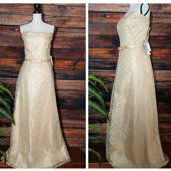 NWT Jessica McClintock Vintage Dress 14 Strapless Maxi Chiffon Peach Formal - Picture 2 of 13